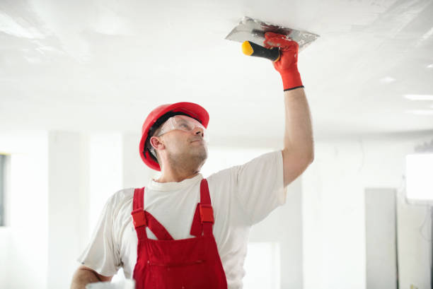 Best Ceiling Drywall Installation  in Laurinburg, NC